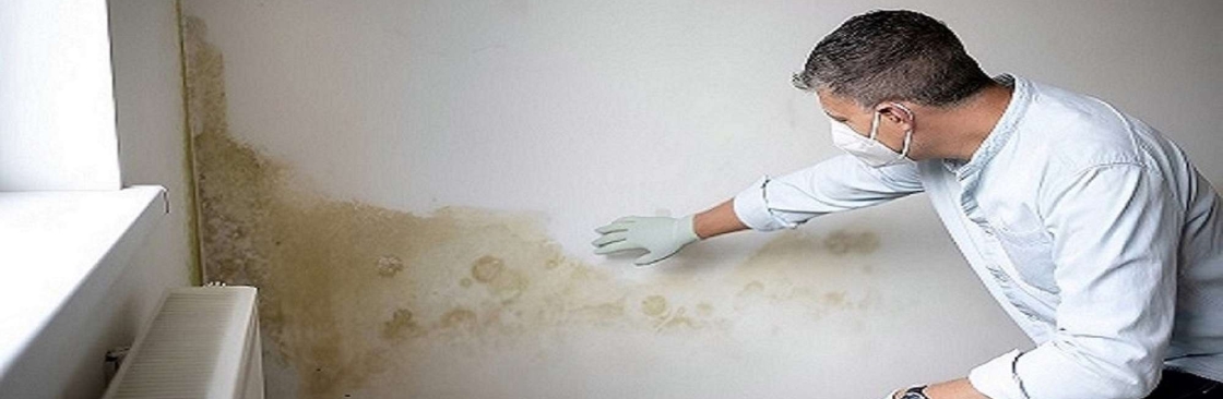 The Mould Assessors Cover Image