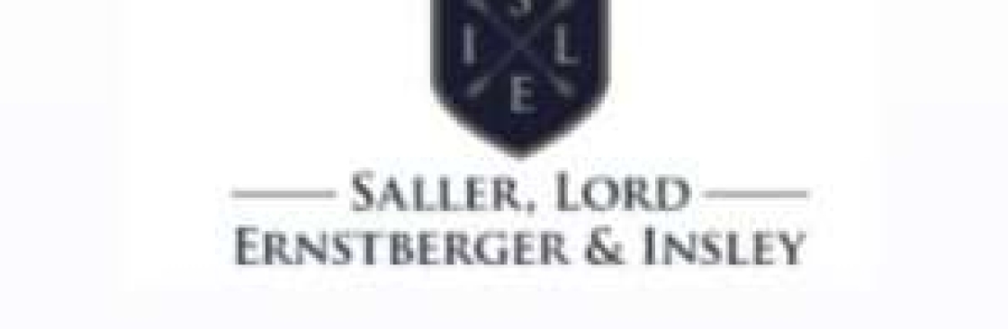 Saller Lord Ernstberger and Insley Cover Image